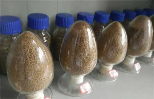 饲料检测样品 饲料检测样品