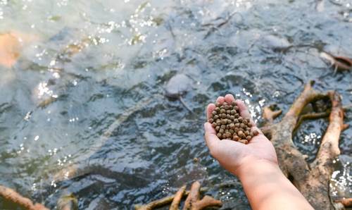 水产饲料检测
